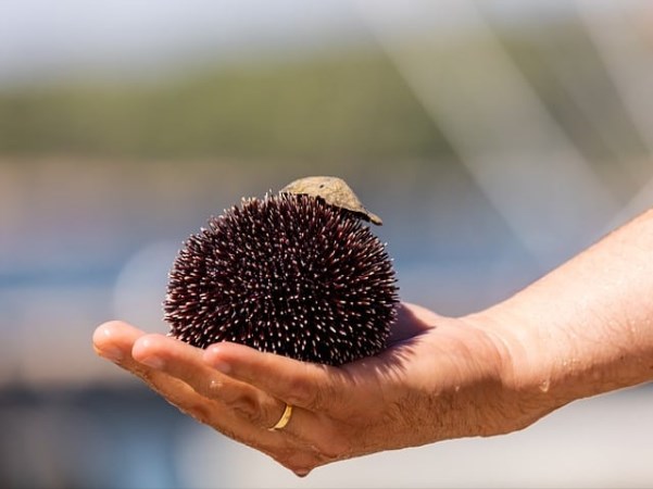 비고 약물 치료 후 부작용