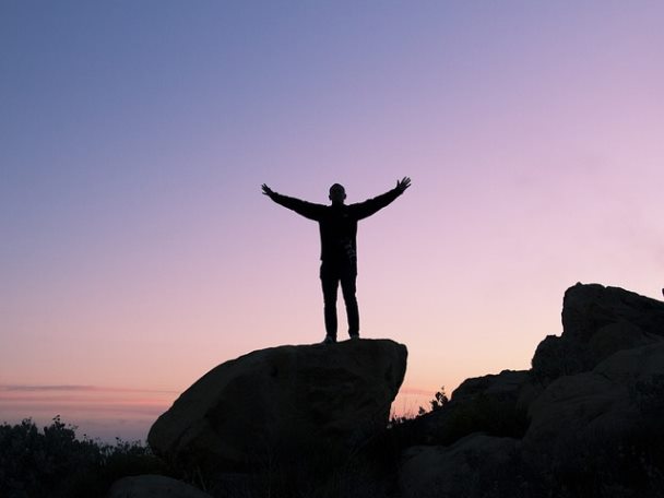 온라인 금융