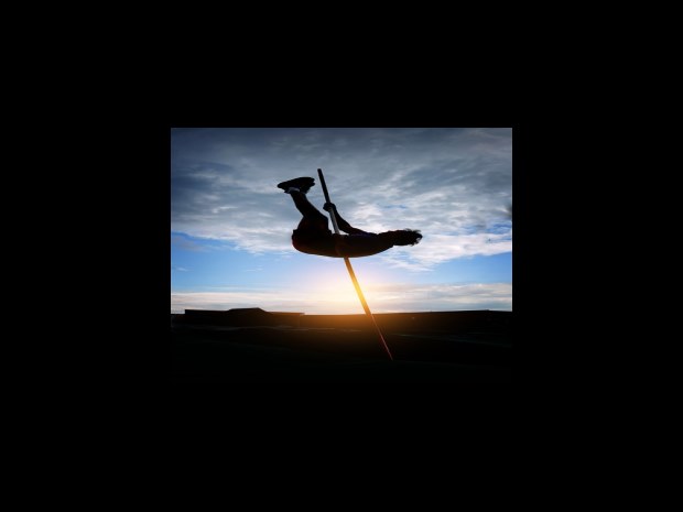 다른 법률 전문가 의견