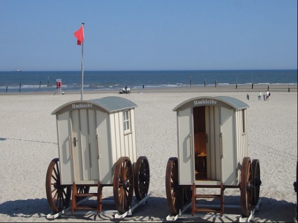 비타민 E 부족 증상 및 과다. 섭취의 위험성