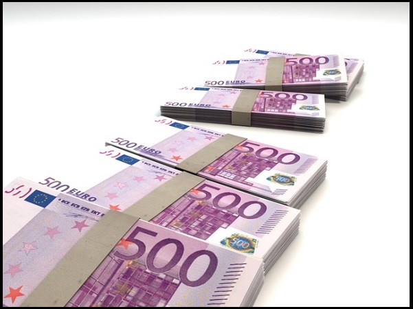 바나나 나무 꽃과 열매