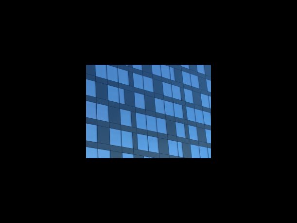 스테비아 재배 방법