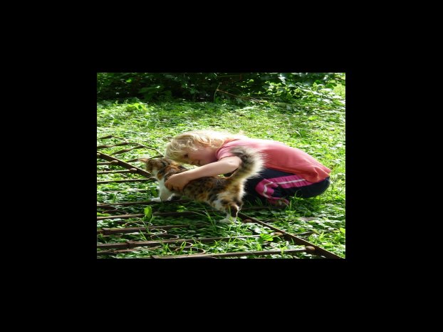 신한은행 외화 체인지업 예금