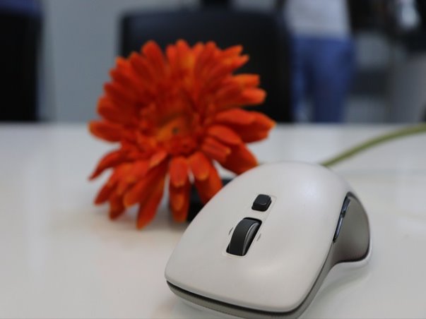 스마트패스 ID등록