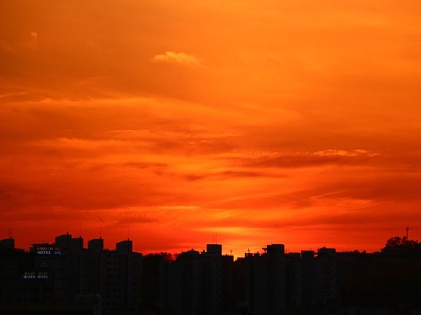 카무트효소 먹는법