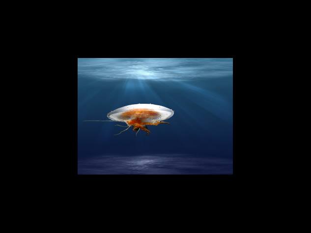 마블 10주년 기념 영화 몰아보기