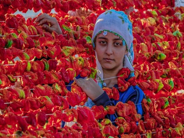 보장의 범위가 중요합니다.
