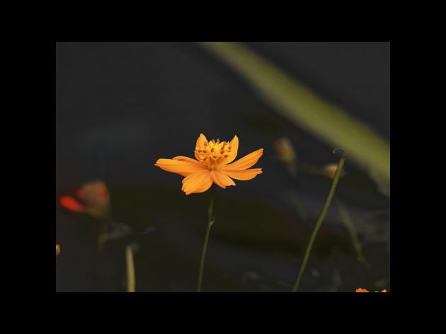신종 코로나바이러스 백신은 최고의 예방책