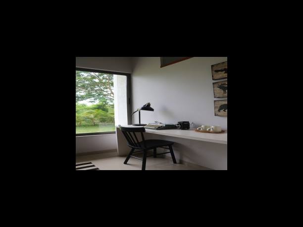 타트체리 효능으로 뇌기능을 향상시킵니다.