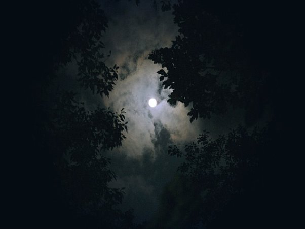 태광 기업실적