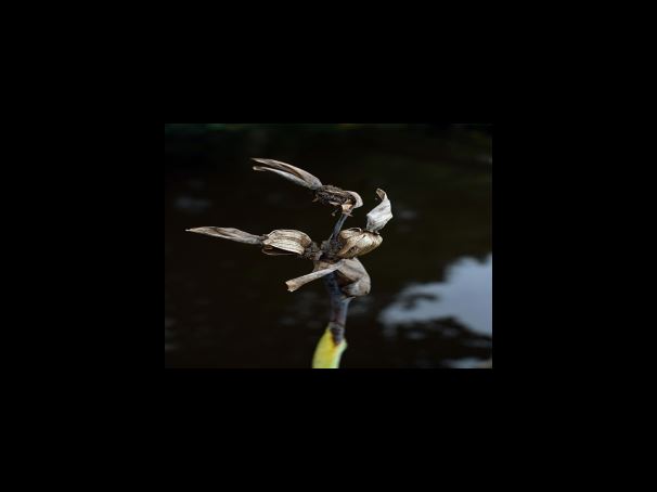 TOP1 지게차운전기능사