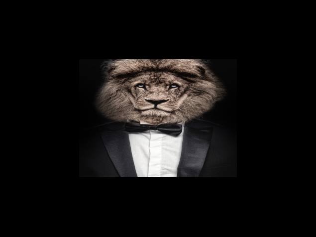 세종시 지역분석 시군구 서열