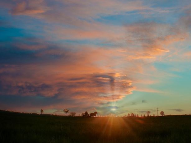 아보카도 베이비 프로 디자인