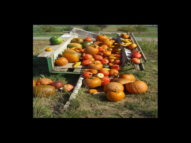 느낀점 및 시식