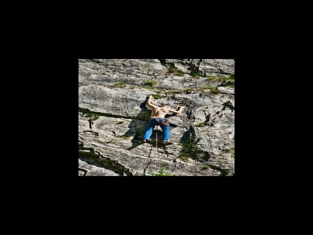 품번 따라 변경되는 한섬 중고 시세