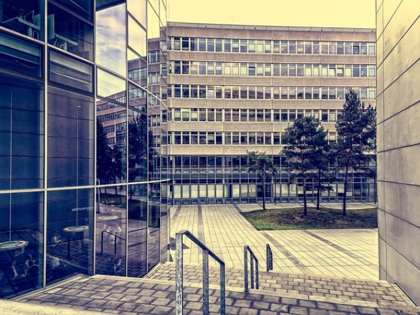 일반고 서울대 진학 순위 TOP 20