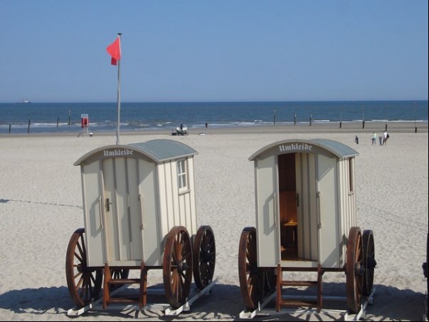 특별재난지역 현황