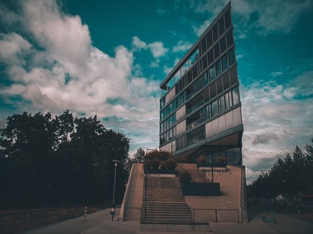 클로렐라 vs 스피루리나 효능이 어떠한 방안으로 다른가요?