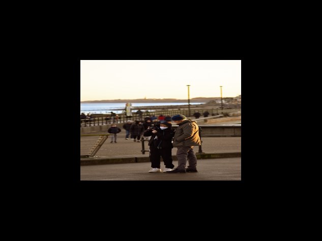 베르베린의 효능에 대한 과학적 연구 결과