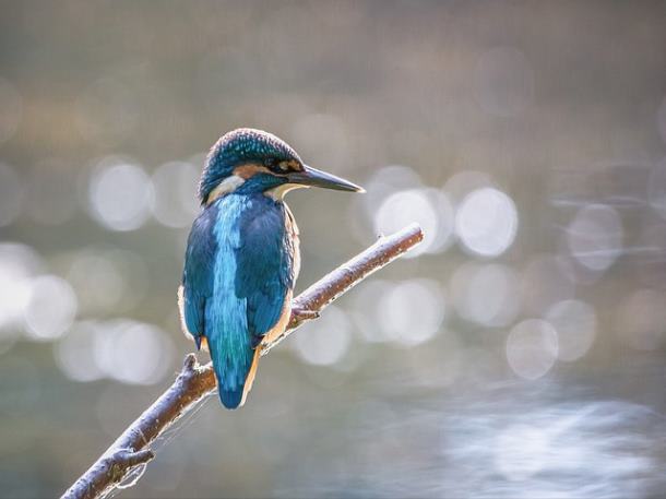 인천 일상회복지원금 사용기간
